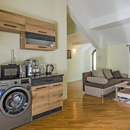 Apartament Vintage House 3 *